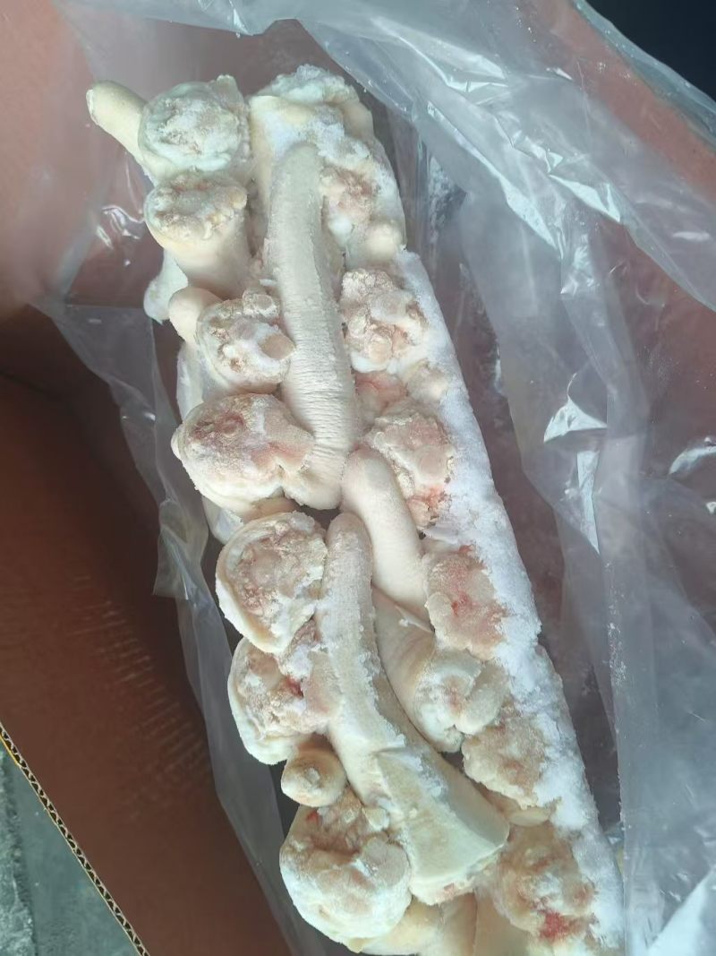 肥猪中尾新货4吨，临沂新货新开，