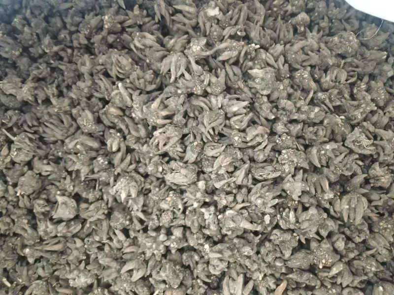 猫爪草手挑货