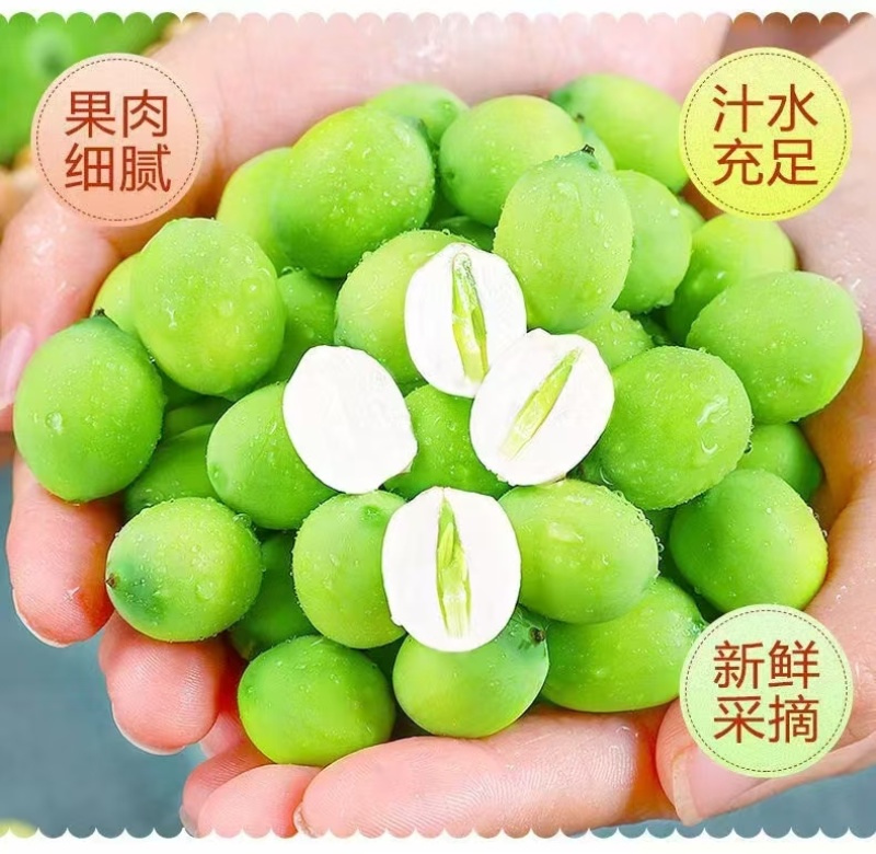 鲜莲