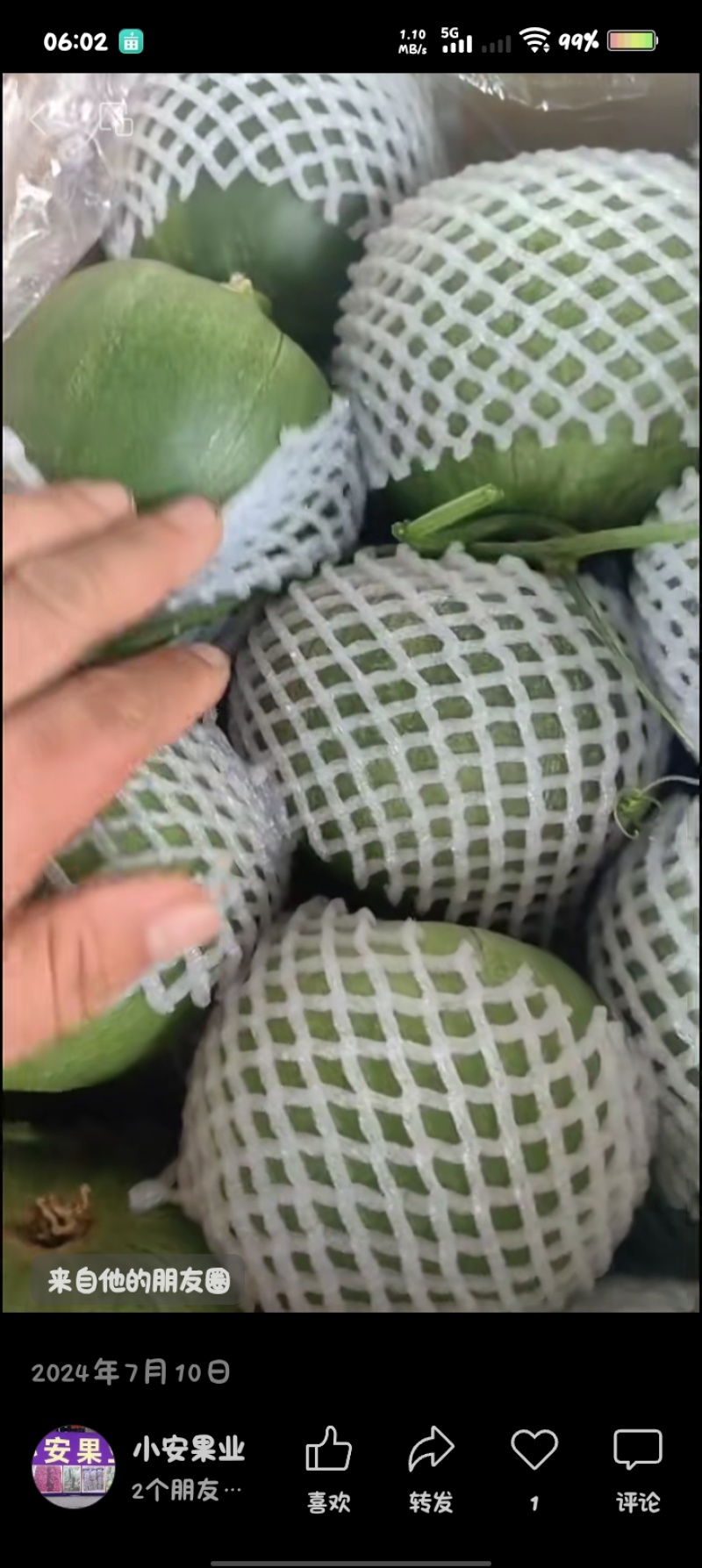 陕西绿宝甜瓜大量上市，有需要的联系我就行。
