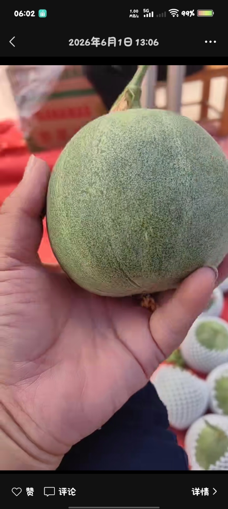 陕西绿宝甜瓜大量上市，有需要的联系我就行。