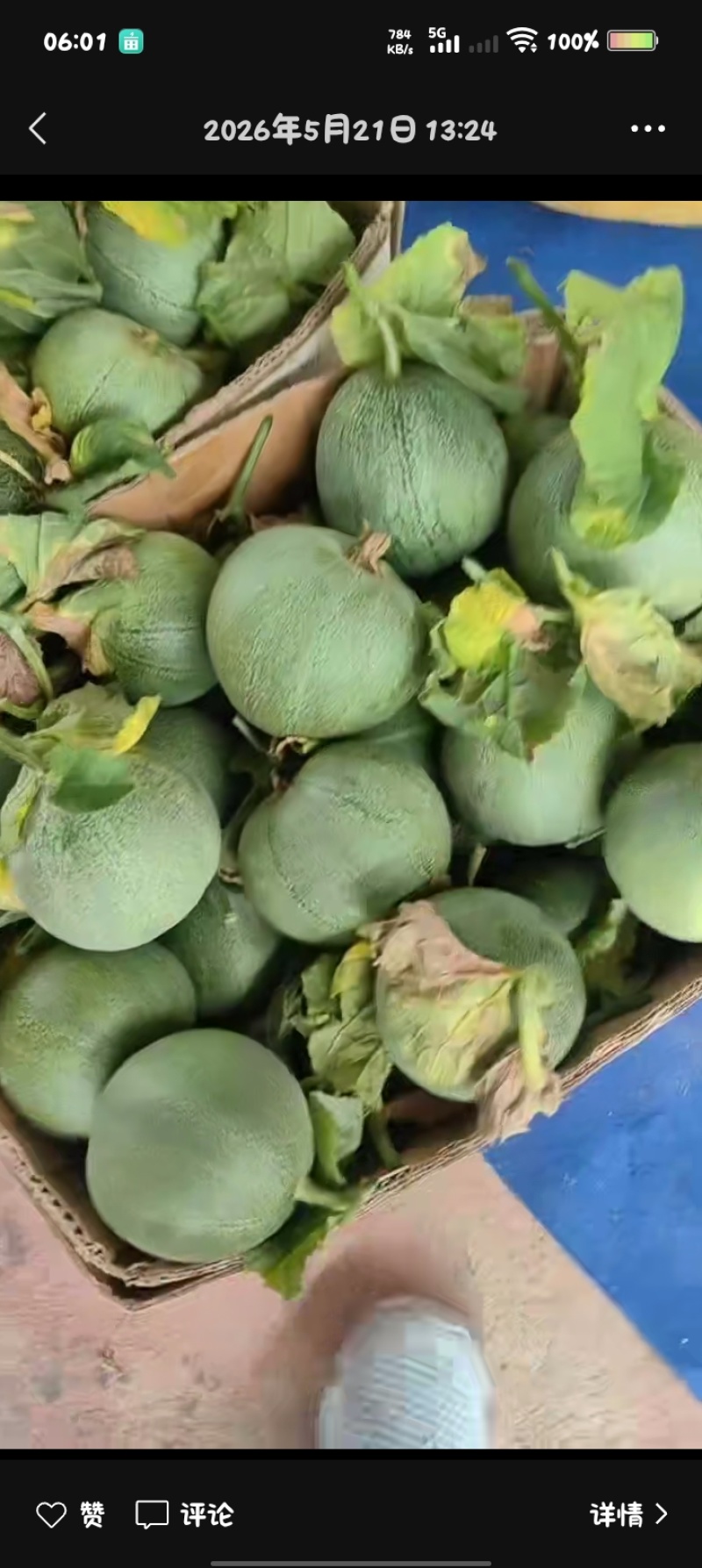 陕西绿宝甜瓜大量上市，有需要的联系我就行。