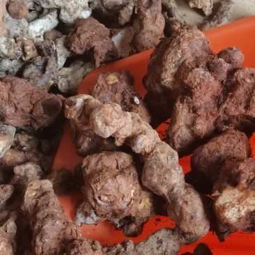 规格齐全的纯野生土茯苓自产自销超高性价比