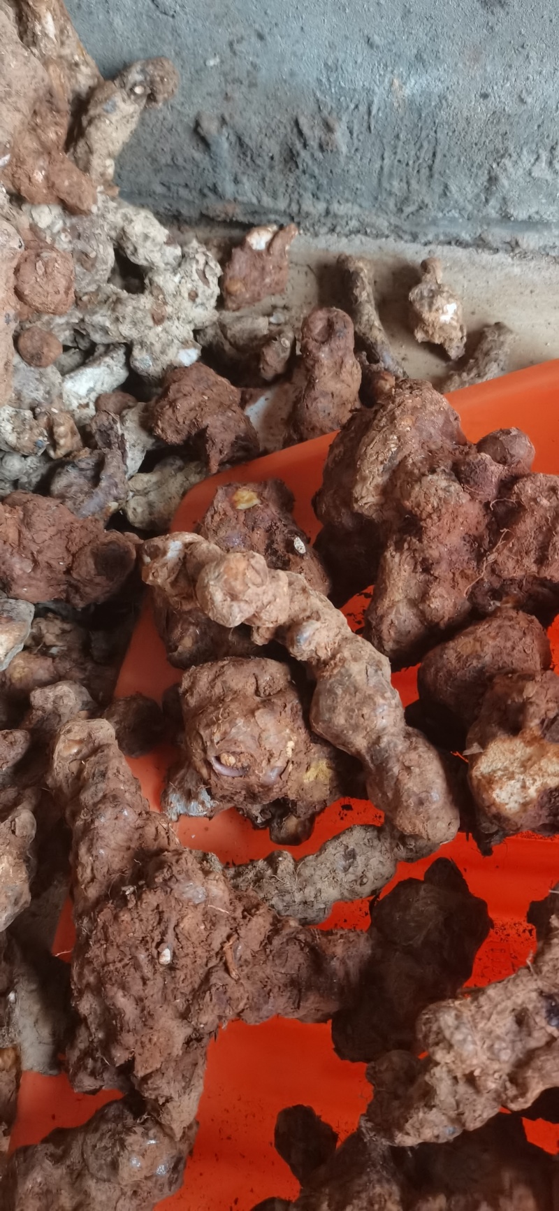 规格齐全的纯野生土茯苓自产自销超高性价比