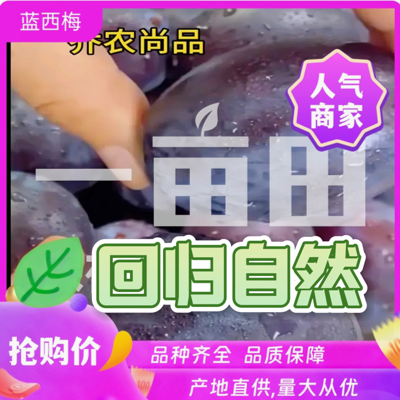 被阳光亲吻过昼夜温差掠过诚信誉承诺过产品质保证过
