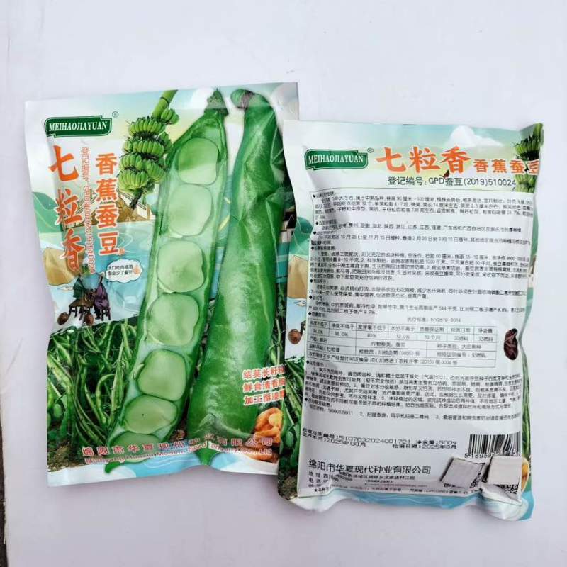 七粒香香蕉蚕豆种子罗汉豆种籽春秋冬季播早熟耐寒胡豆种孑