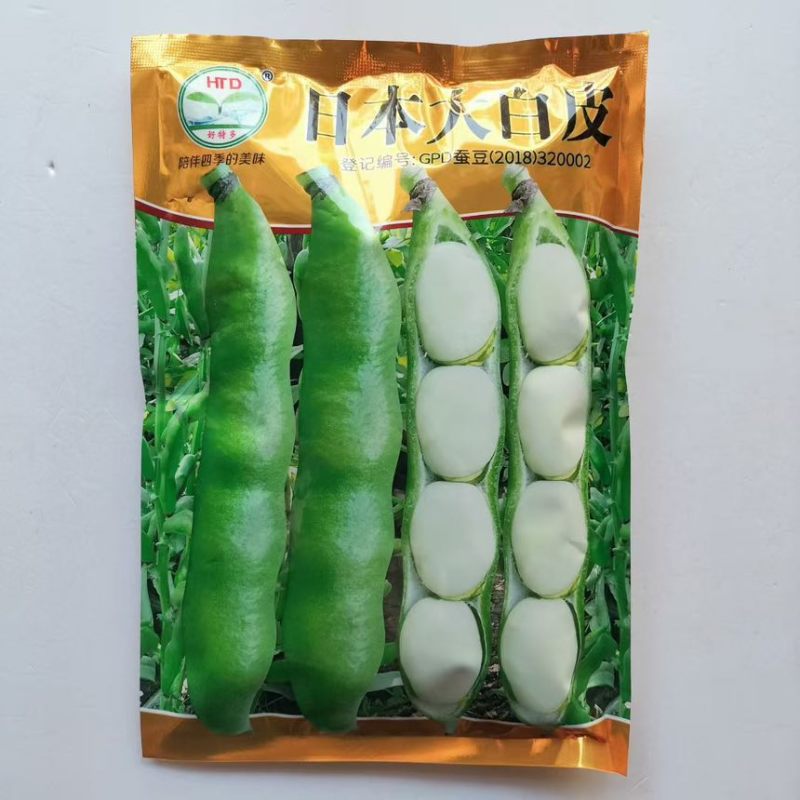 好特多日本大白皮蚕豆种子早熟高产抗病秋播蚕豆籽紫花白皮蚕豆