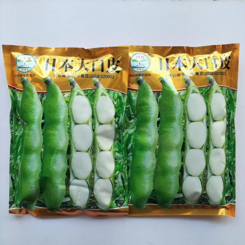 好特多日本大白皮蚕豆种子早熟高产抗病秋播蚕豆籽紫花白皮蚕豆