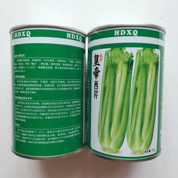 皇帝西芹种子高产抗病优质芹菜种四季蔬菜种籽孑大田基地春秋播