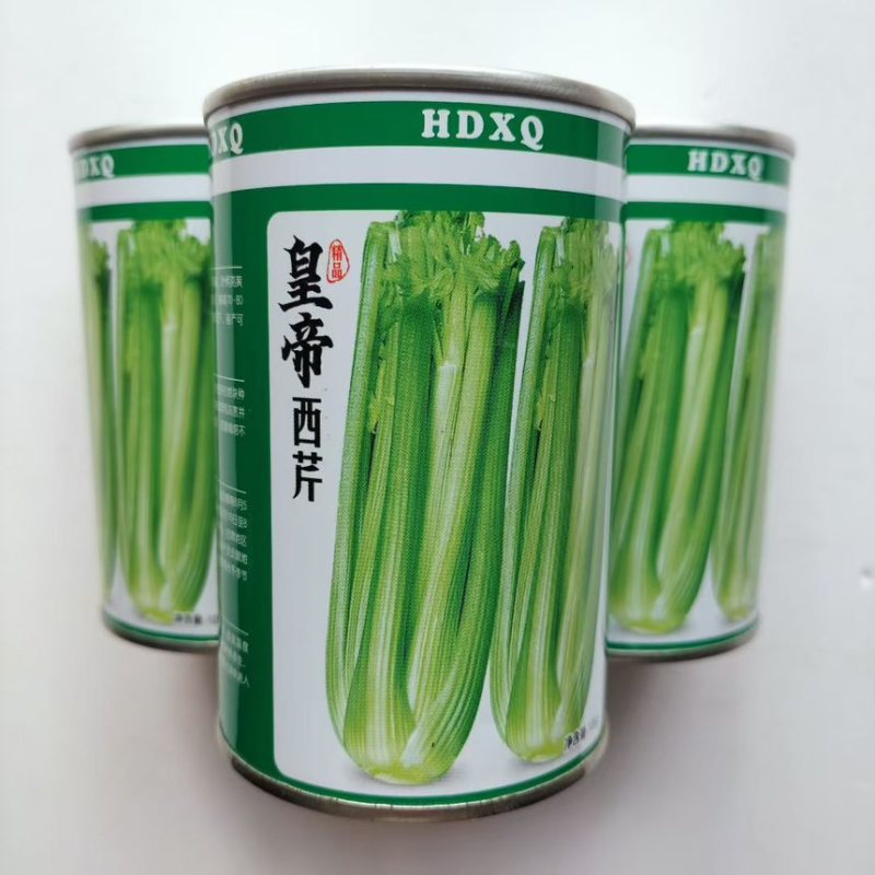 皇帝西芹种子高产抗病优质芹菜种四季蔬菜种籽孑大田基地春秋播