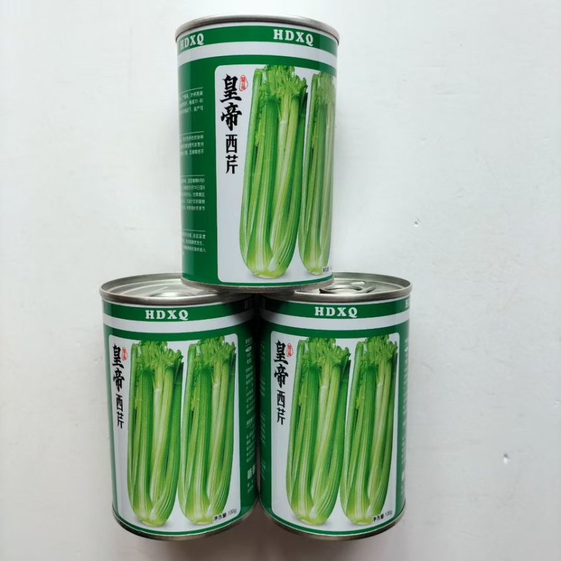 皇帝西芹种子高产抗病优质芹菜种四季蔬菜种籽孑大田基地春秋播