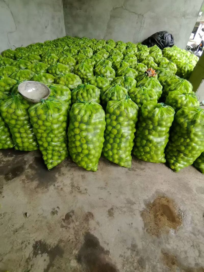 青皮核桃去皮核桃干核桃供大货电商一件代发