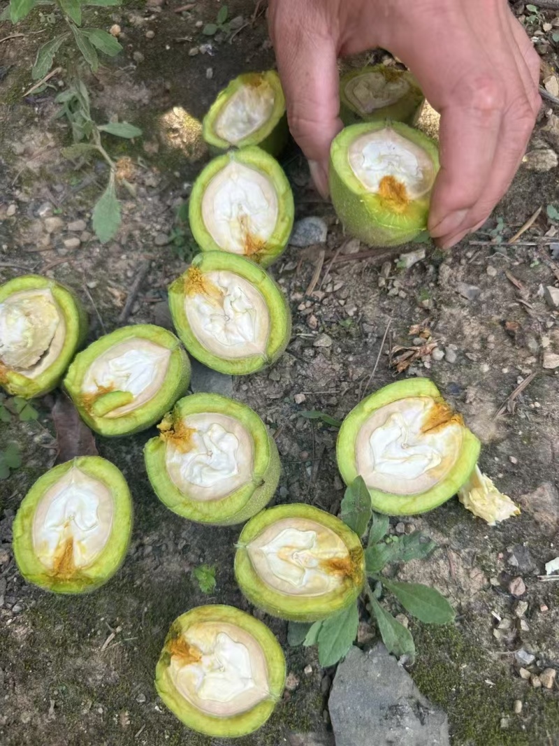 青皮核桃去皮核桃干核桃供大货电商一件代发