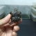 佛鳄龟小苗