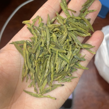 小芽龙井