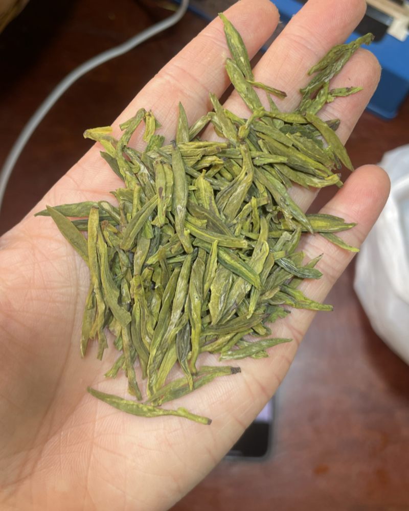 小芽龙井