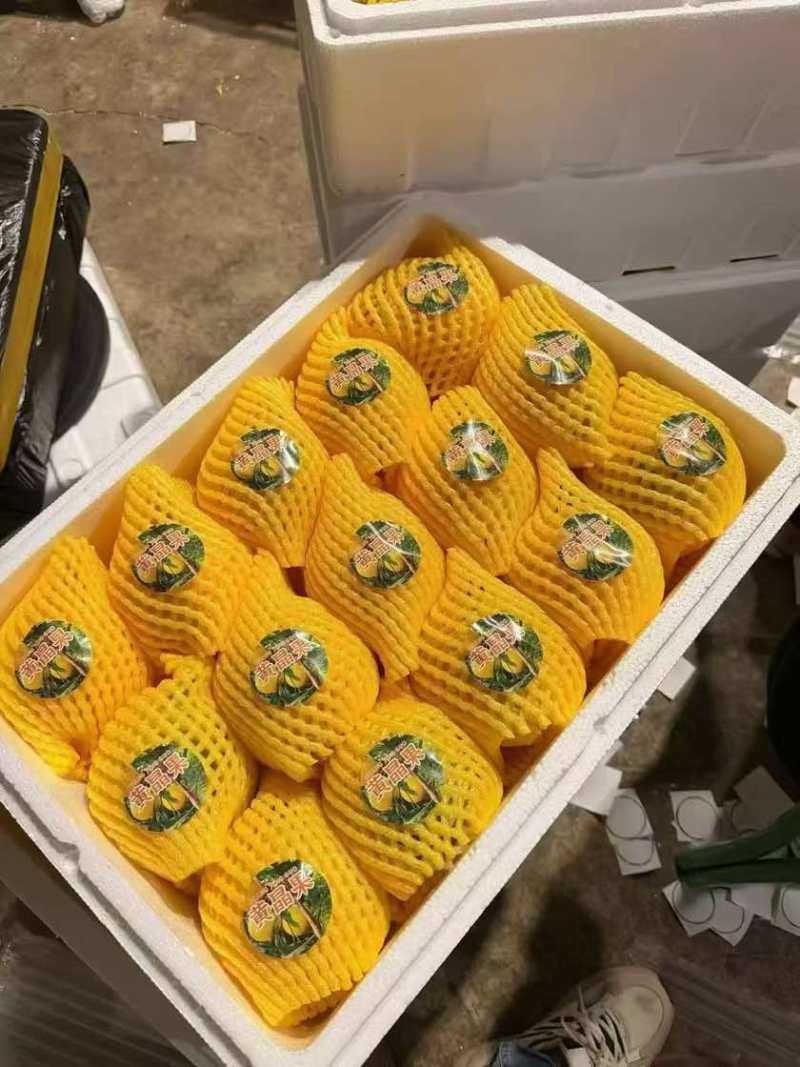 云南西双版纳黄晶果果冻口感清甜爽口按需做货