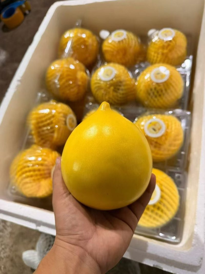 云南西双版纳黄晶果果冻口感清甜爽口按需做货
