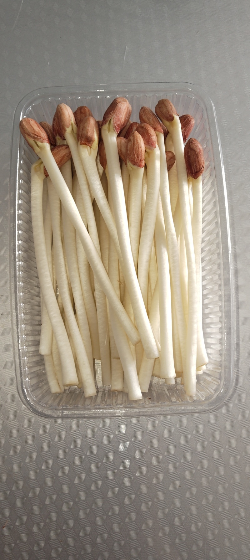 精品花生芽苗菜