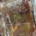 精品鲤鱼籽，厂家直销，价格优惠