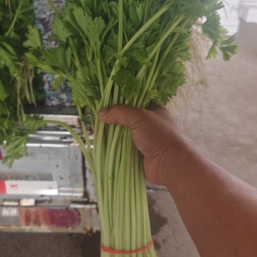 ***********量大有需要电话详谈
