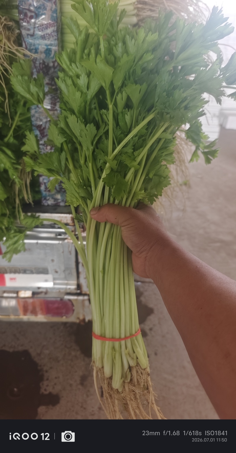 ***********量大有需要电话详谈