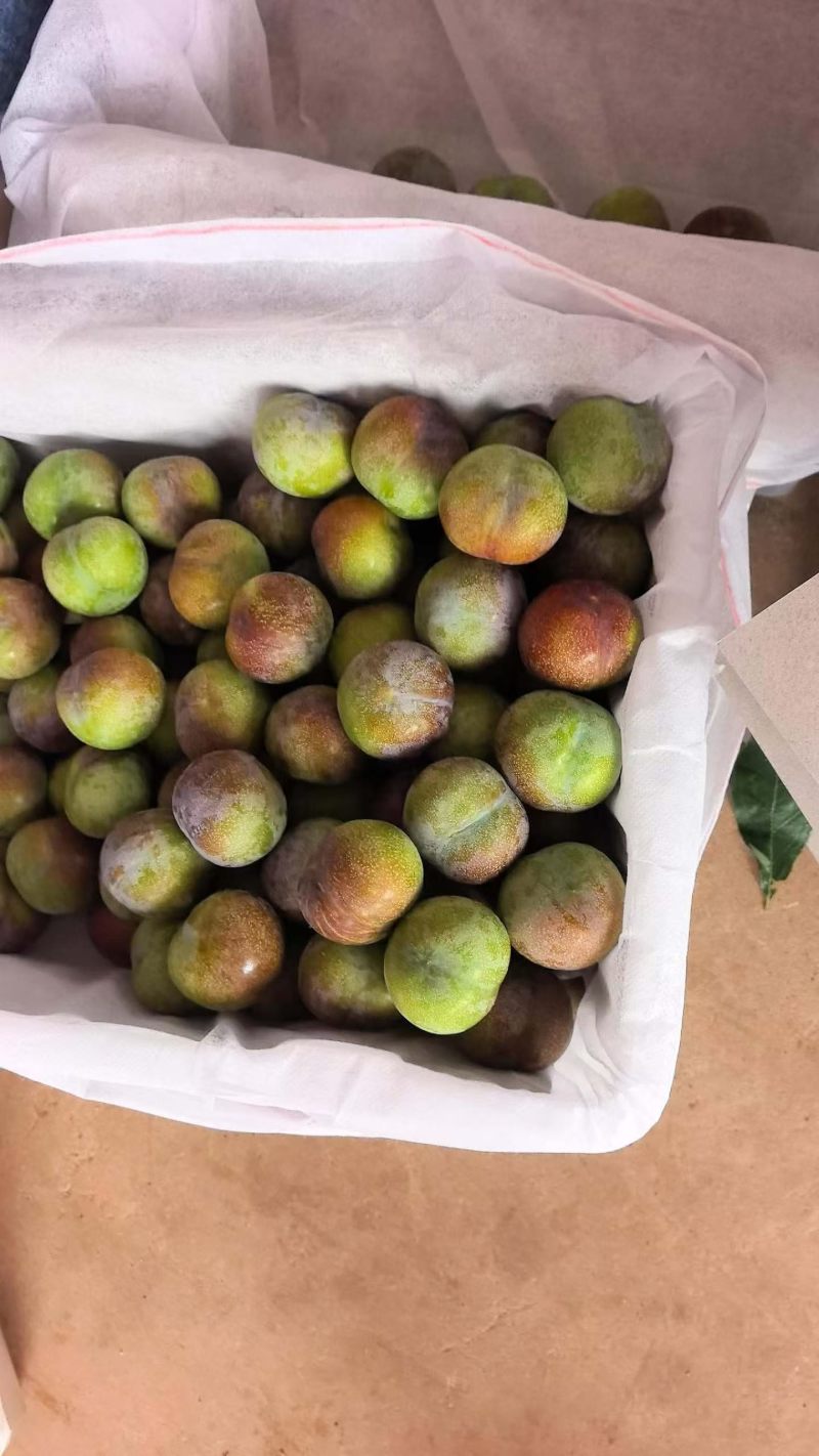 半边红李子