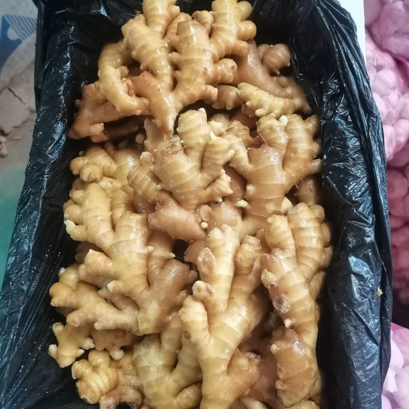 批发洗水生姜，1件批发价