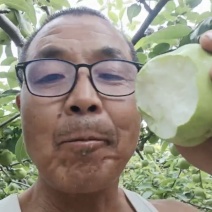 大荔地标早熟梨🔥头茬鲜果抢鲜上市！