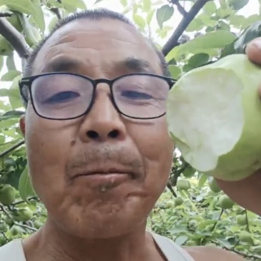 大荔地标早熟梨🔥头茬鲜果抢鲜上市！