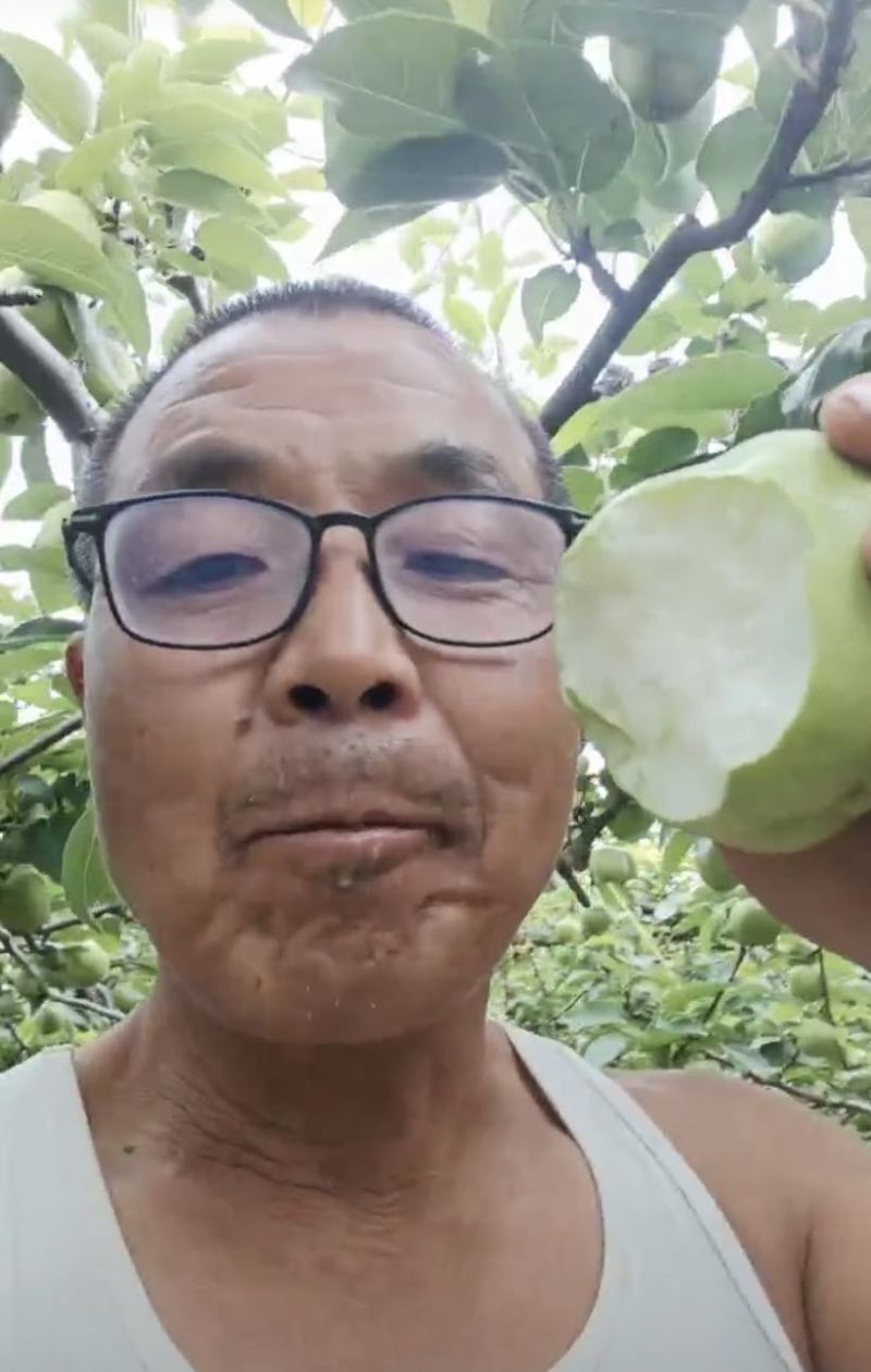 大荔地标早熟梨🔥头茬鲜果抢鲜上市！