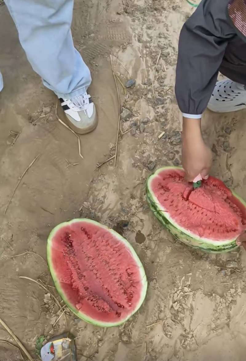 西瓜正品保障应季