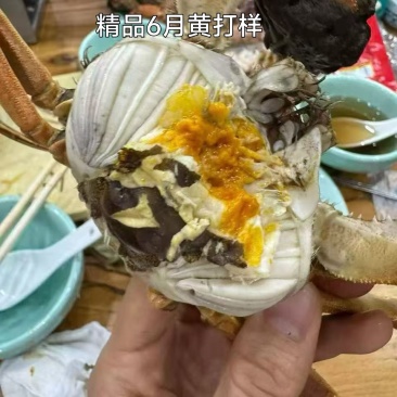产地连续要下一周的雨，大家要蟹直接联系我24小时内挑好发出