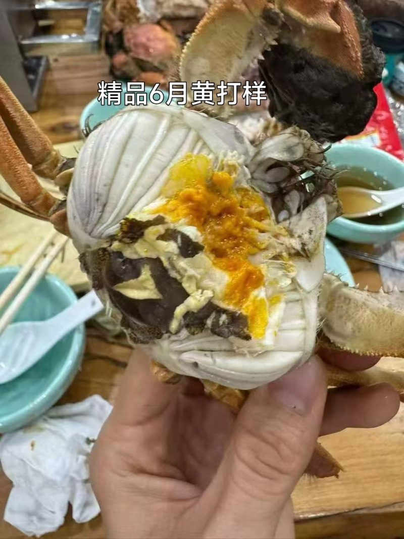 产地连续要下一周的雨，大家要蟹直接联系我24小时内挑好发出