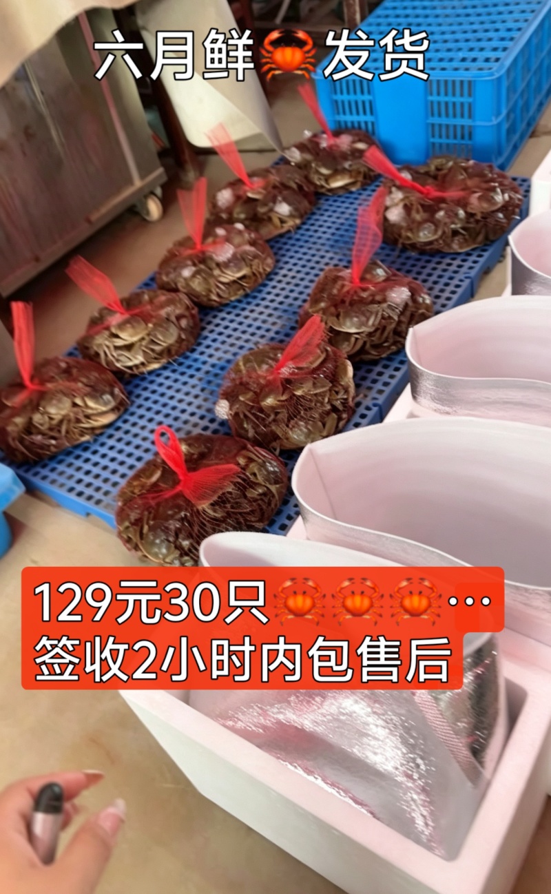 产地连续要下一周的雨，大家要蟹直接联系我24小时内挑好发出