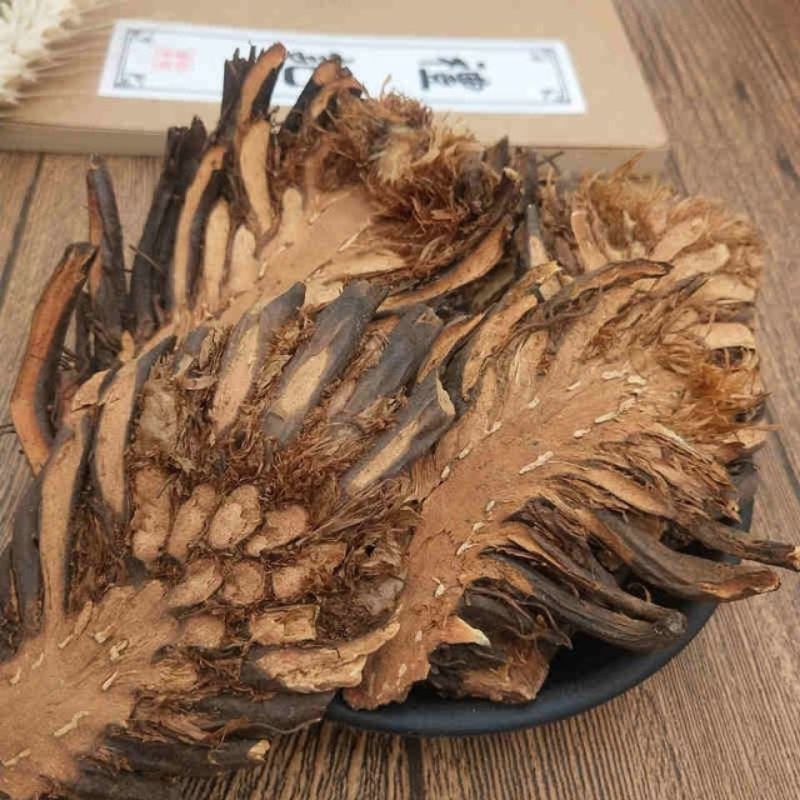 中药材贯众真品贯众/贯渠/百头/虎卷/贯仲贯节贯