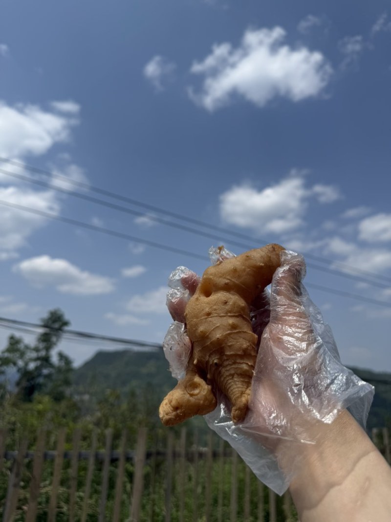 臻选自然生长足年黄精，古法制作九次蒸晒，***，纯手工