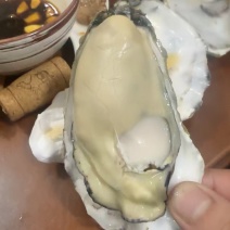 各种规格乳山生蚝需要的老板联系我一手货源保质保量