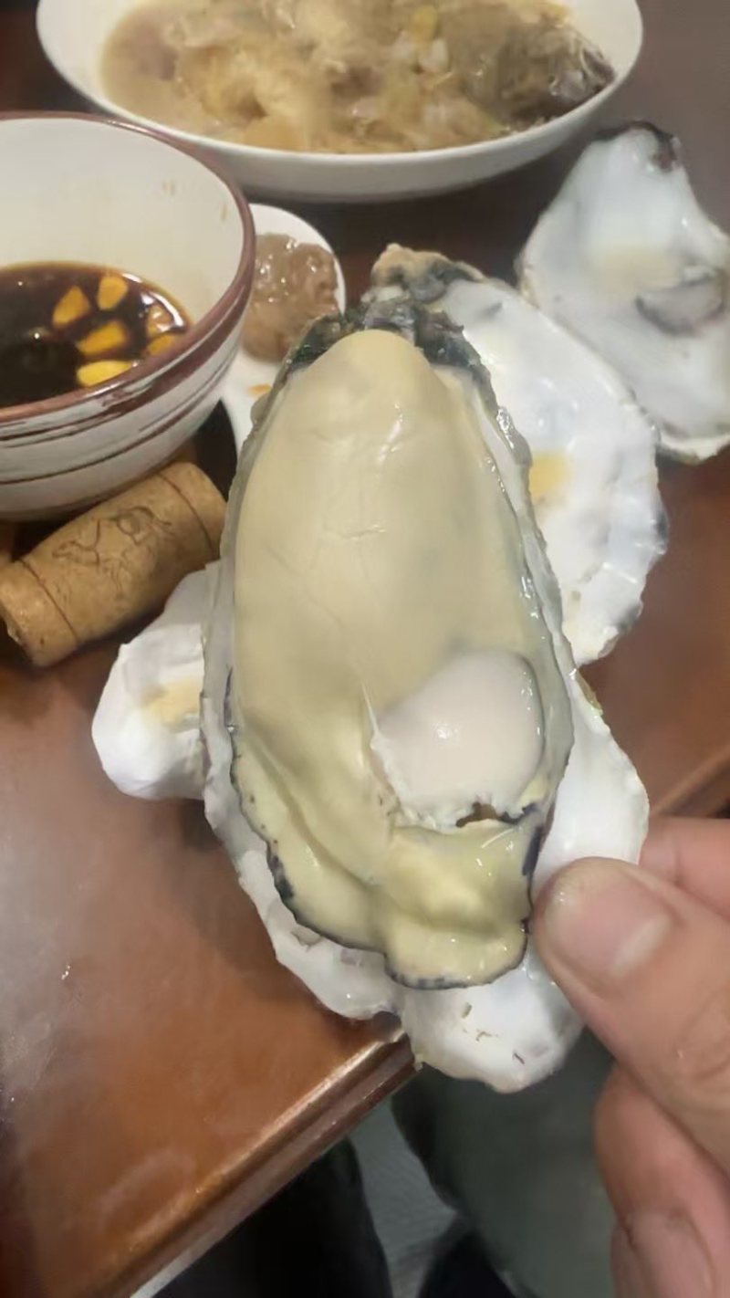 各种规格乳山生蚝需要的老板联系我一手货源保质保量