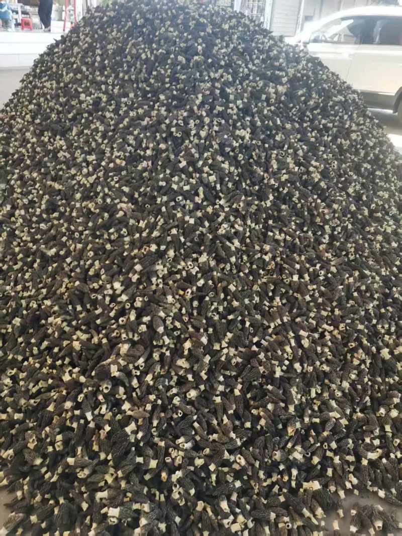 云南产地食用菌干货直发