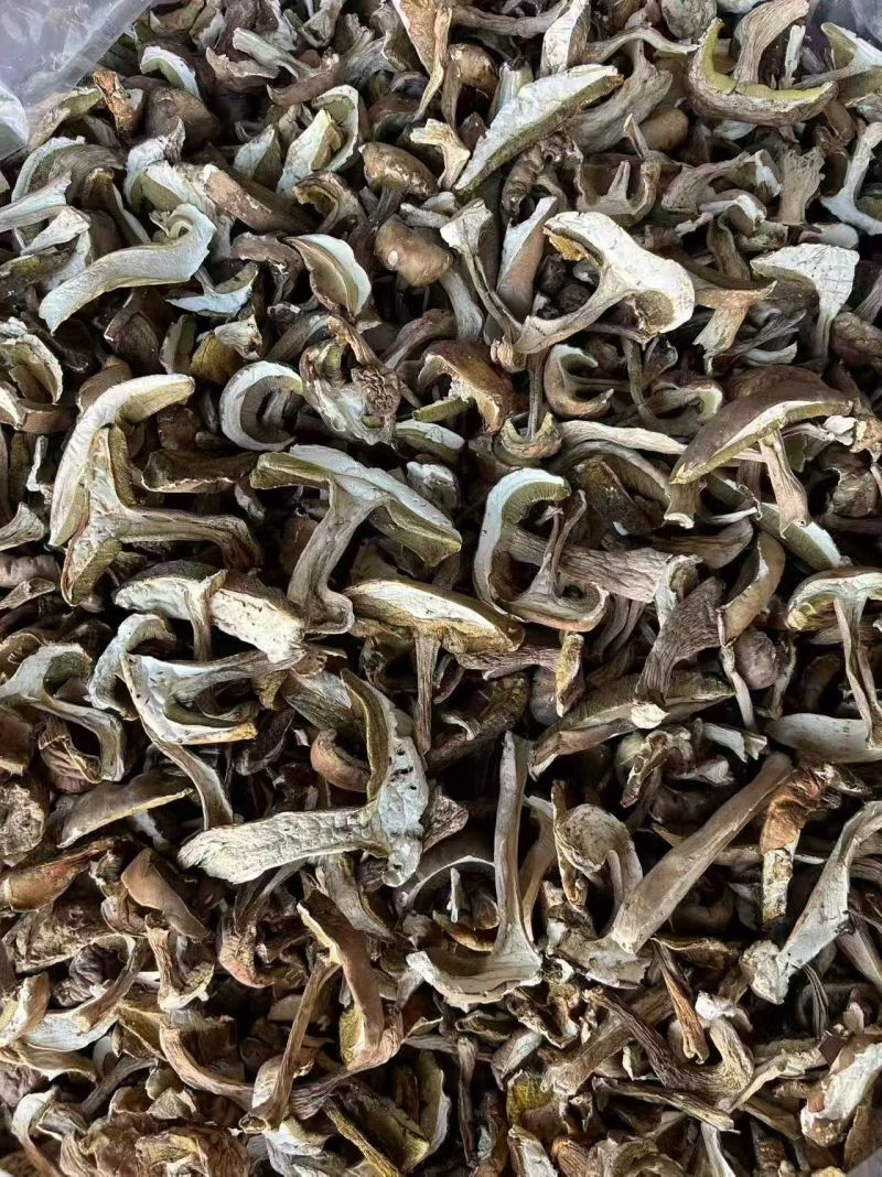 云南产地食用菌干货直发