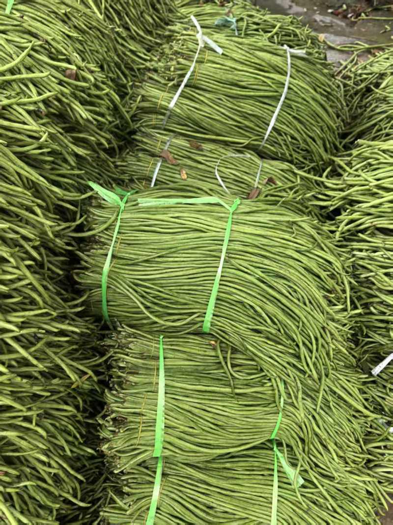 豇豆长豇豆泡豆角长豆角大量上市量大价优欢迎订购