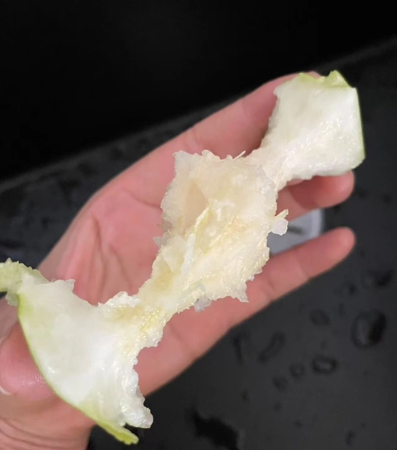苏翠一号脆梨酥梨