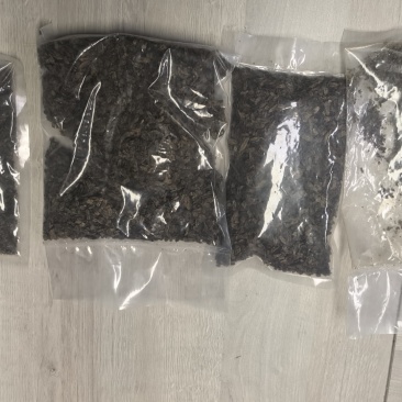 老龄全脂黑水虻虫干，适合饲料加工，禽类喂养