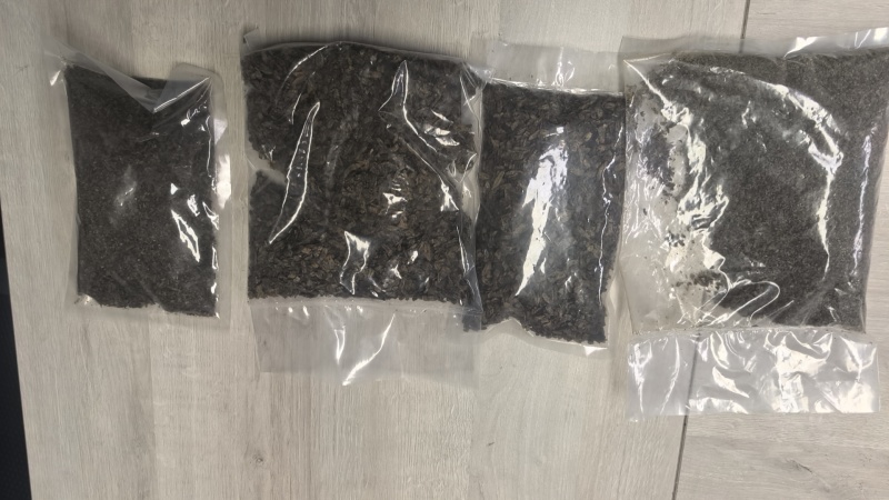 老龄全脂黑水虻虫干，适合饲料加工，禽类喂养