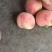 大量不套袋鲜桃