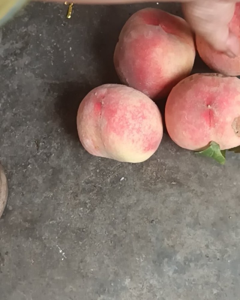 大量不套袋鲜桃