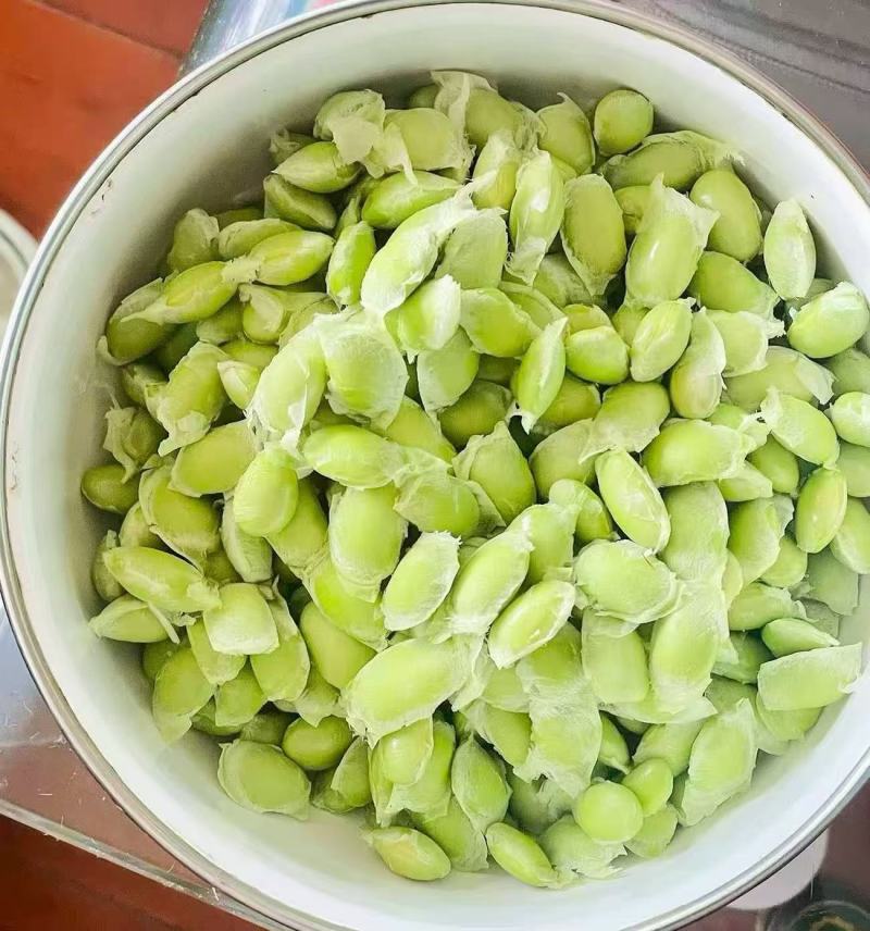 现摘毛豆新鲜带壳青豆子毛豆农家自种鲜嫩大青豆新摘当季蔬菜