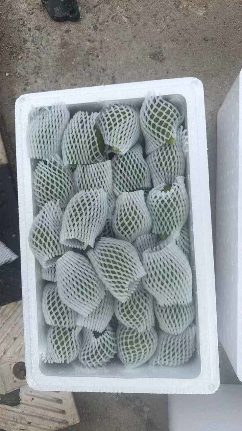 威海青皮无花果（批发，电商一件代发，工厂用冷冻果）