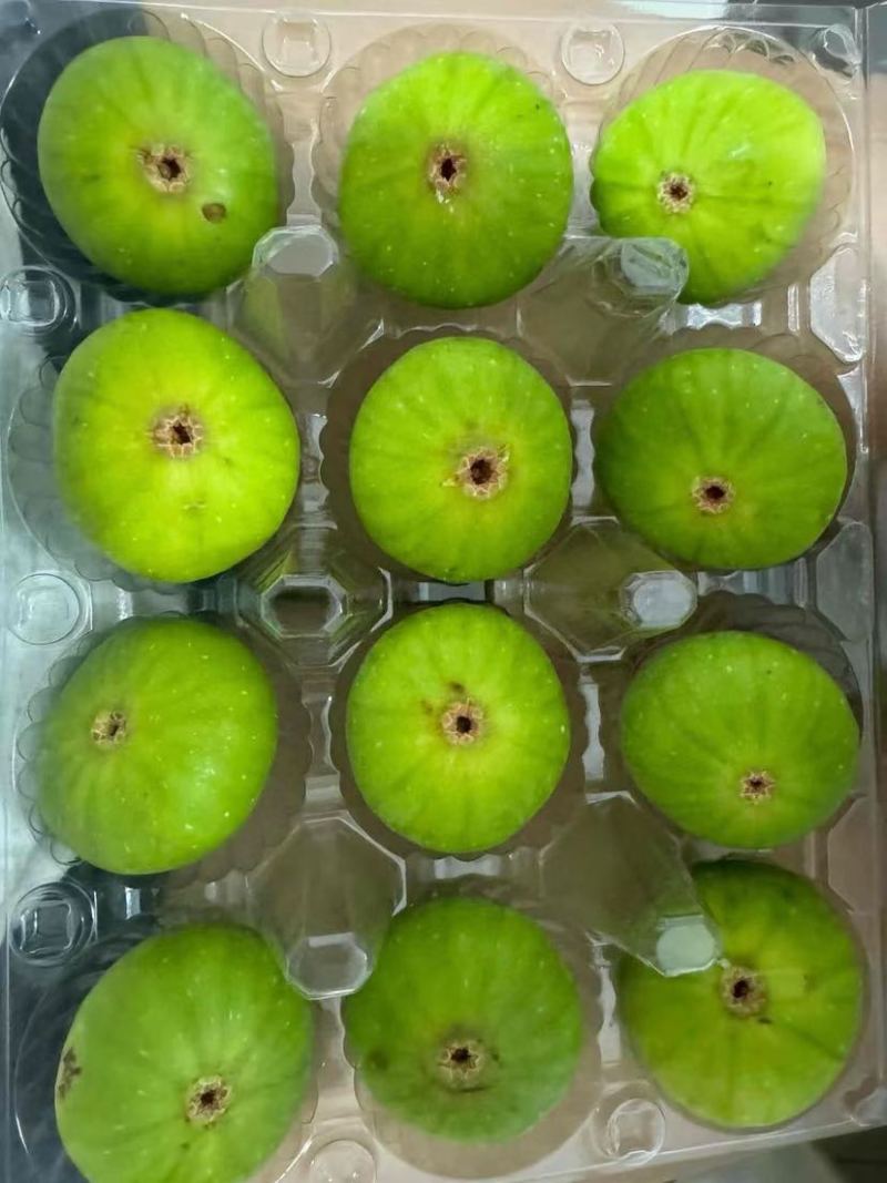 威海青皮无花果（批发，电商一件代发，工厂用冷冻果）